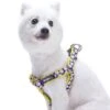 Floral Prints Neoprene Padded Dog Harness For Comfort