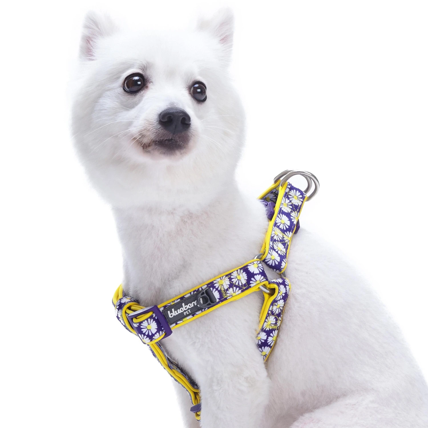 Floral Prints Neoprene Padded Dog Harness For Comfort 1 Floral Prints Neoprene Padded Dog Harness For Comfort