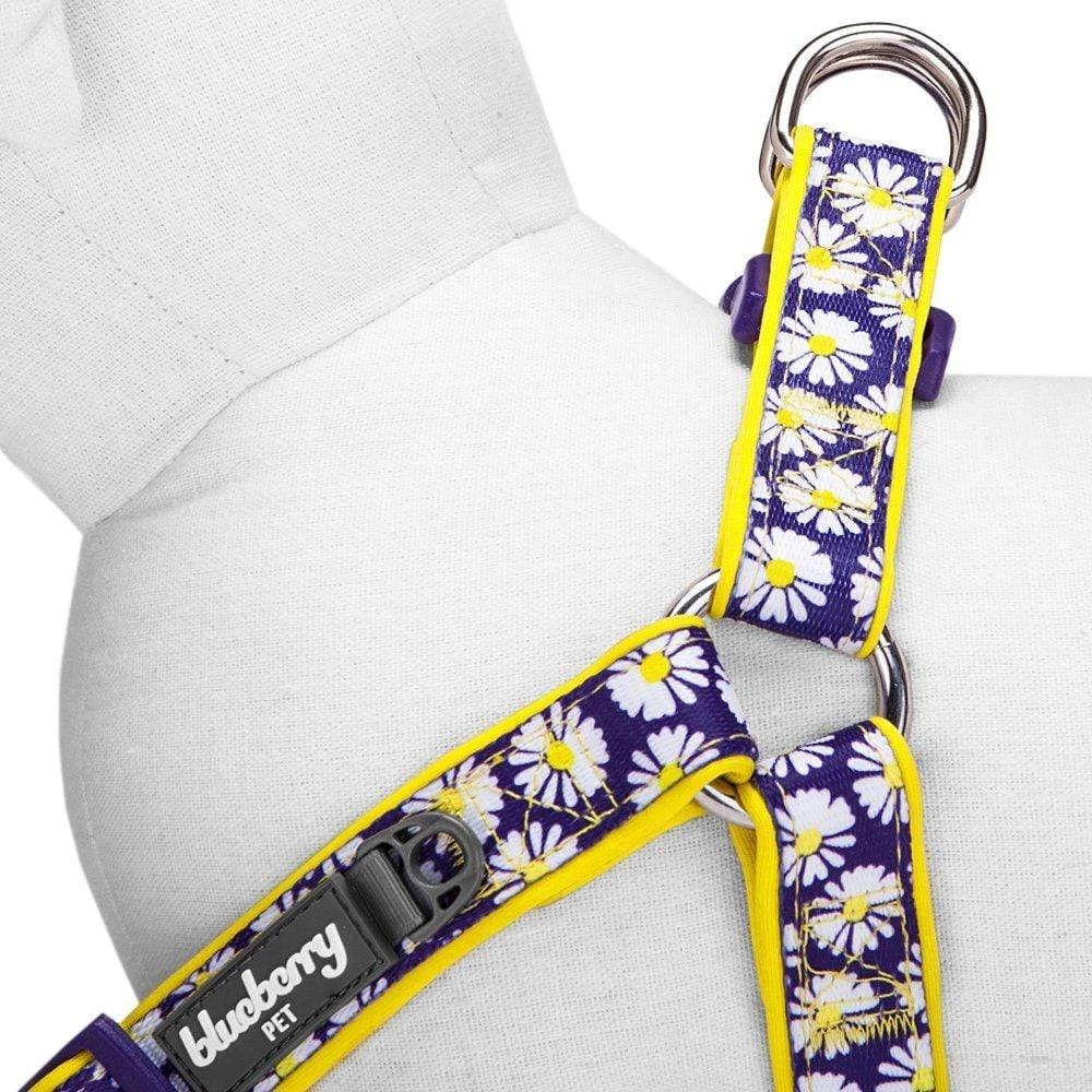 Floral Prints Neoprene Padded Dog Harness For Comfort 4 Floral Prints Neoprene Padded Dog Harness For Comfort - Image 4