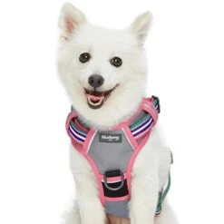 No Pull 3M Reflective Dog Harness Vest With Handle Stripes -Dog & Cat Store 1160547042 1