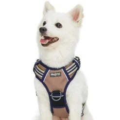 No Pull 3M Reflective Dog Harness Vest With Handle Stripes -Dog & Cat Store 1160548049 1 fb8d94bf f547 4d9f 9695 ff5ba78ba2ea