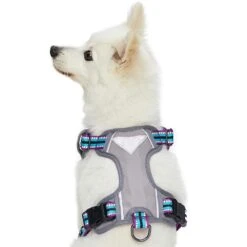 No Pull 3M Reflective Dog Harness Vest With Handle Stripes -Dog & Cat Store 1160549046 3