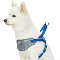 Easy On/Off Soft 3M Reflective Striped Dog Harness -Dog & Cat Store 1160550042 2