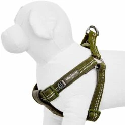 Reflective Hues Of Spring 3M Reflective Dog Harness -Dog & Cat Store 1160554040 1 d720e746 2056 4a58 b056 306d5f45b066