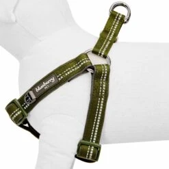 Reflective Hues Of Spring 3M Reflective Dog Harness -Dog & Cat Store 1160554040 2 ae750a76 84f7 4f54 91fd 601ab5edfa3c