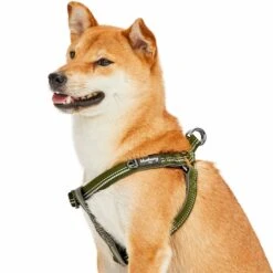 Reflective Hues Of Spring 3M Reflective Dog Harness -Dog & Cat Store 1160554040 3 32a44b08 75a4 434c 9f00 882db70825e8