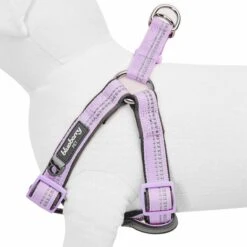 Reflective Hues Of Spring 3M Reflective Dog Harness -Dog & Cat Store 1160556044 2 b4f13bb4 a4a5 4f76 84c7 143c687e6c47
