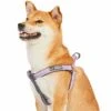 Reflective Hues Of Spring 3M Reflective Dog Harness 5 Reflective Hues Of Spring 3M Reflective Dog Harness -Dog & Cat Store 1160556044 3 4decc439 806b 4ad4 91d5 ddeea9a2b957