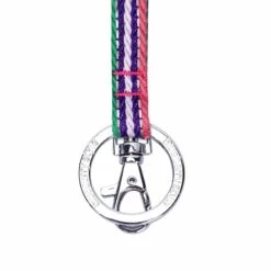 3M Reflective Multi-colored Stripe Lanyard, 3/4 Inch Wide -Dog & Cat Store 1170108004 3 0d844562 4bb6 407c a216 750128028394
