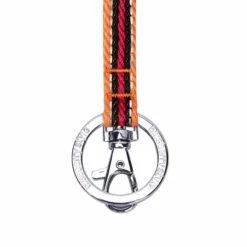 3M Reflective Multi-colored Stripe Lanyard, 1/2 Inch Wide 6 3M Reflective Multi-colored Stripe Lanyard, 1/2 Inch Wide -Dog & Cat Store 1170111004 3 0d0562e3 d0a1 4a69 991a d8174c764380