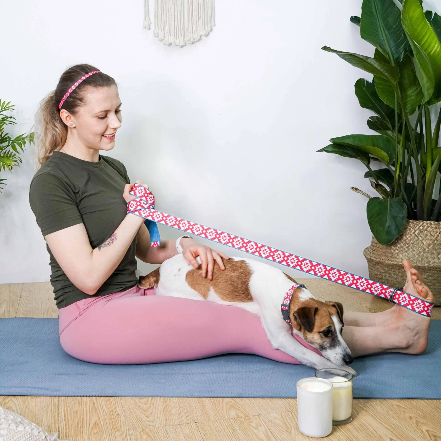 Jacquard Weave Tribal Diamond Doga Gift Box With Collar, Strap, Headbands 1 Jacquard Weave Tribal Diamond Doga Gift Box With Collar, Strap, Headbands