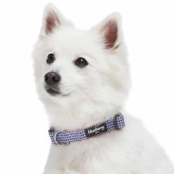 Multicolor Braids Variety Gift Box - Dog Collar And More -Dog & Cat Store 1180101040 5