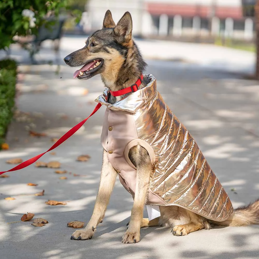 All-Weather Quilted Glossy Dog Puffer Jacket For Winter 10 All-Weather Quilted Glossy Dog Puffer Jacket For Winter - Image 10