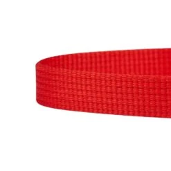 Timeless Color-block Cat Collar With Bowtie And Charm 17 Timeless Color-block Cat Collar With Bowtie And Charm -Dog & Cat Store 12020150525 6