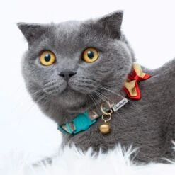 Holiday Fun Cat Collar, 2 Pack For Festive Kitties -Dog & Cat Store 12020150570 3