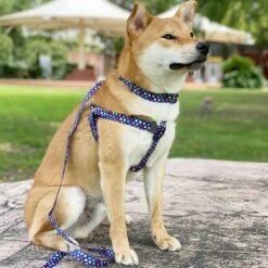 Rainbow Polka Dots Dog Harness For Stylish Pets 6 Rainbow Polka Dots Dog Harness For Stylish Pets -Dog & Cat Store 120 2877cff2 6fe2 4396 ad85 535de0068b8e