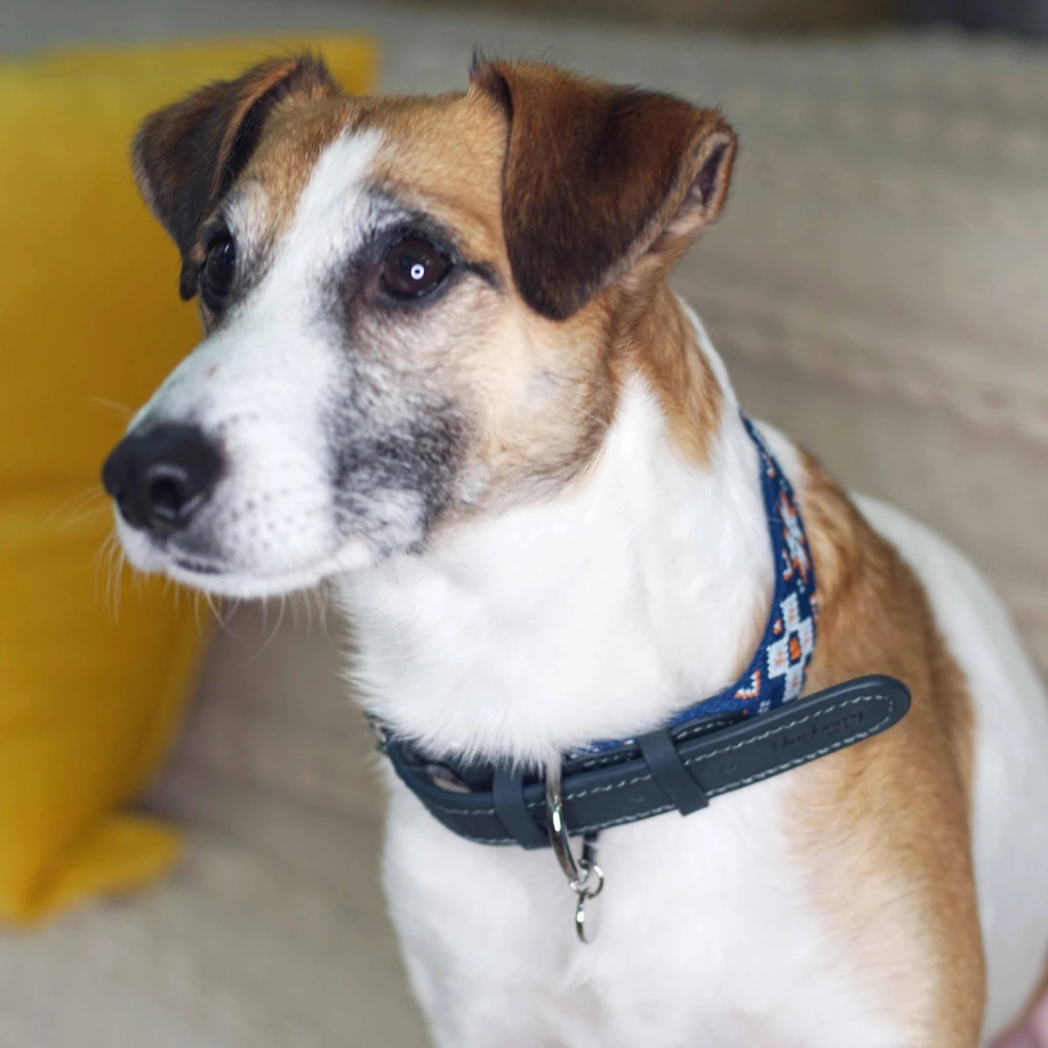 Southwestern Full Grain Leather & Polyester Dog Collar 2 Southwestern Full Grain Leather & Polyester Dog Collar - Image 2