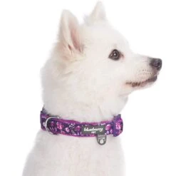 Floral Prints Neoprene Padded Dog Collar For Stylish Pets -Dog & Cat Store 1240217063 2 4ff0aaa5 7a66 4ec0 be87 05e58b0951b4
