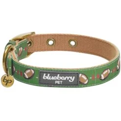 Sports Fan Dog Collar For Stylish And Active Pets -Dog & Cat Store 1240220063 2 06f67ddc 7d57 4711 b9f2 f7f5fe280b34