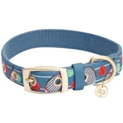 Sports Fan Dog Collar For Stylish And Active Pets -Dog & Cat Store 1240221060 1 cb0d3e15 2d6b 4e2a 9f6b 30bab0744d75