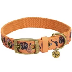 Sports Fan Dog Collar For Stylish And Active Pets