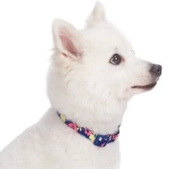Made Well Floral Dog Collar Stylish And Durable Design 22 Made Well Floral Dog Collar Stylish And Durable Design -Dog & Cat Store 1240224023 2