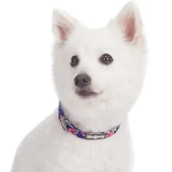 Made Well Floral Dog Collar Stylish And Durable Design 23 Made Well Floral Dog Collar Stylish And Durable Design -Dog & Cat Store 1240224023 3