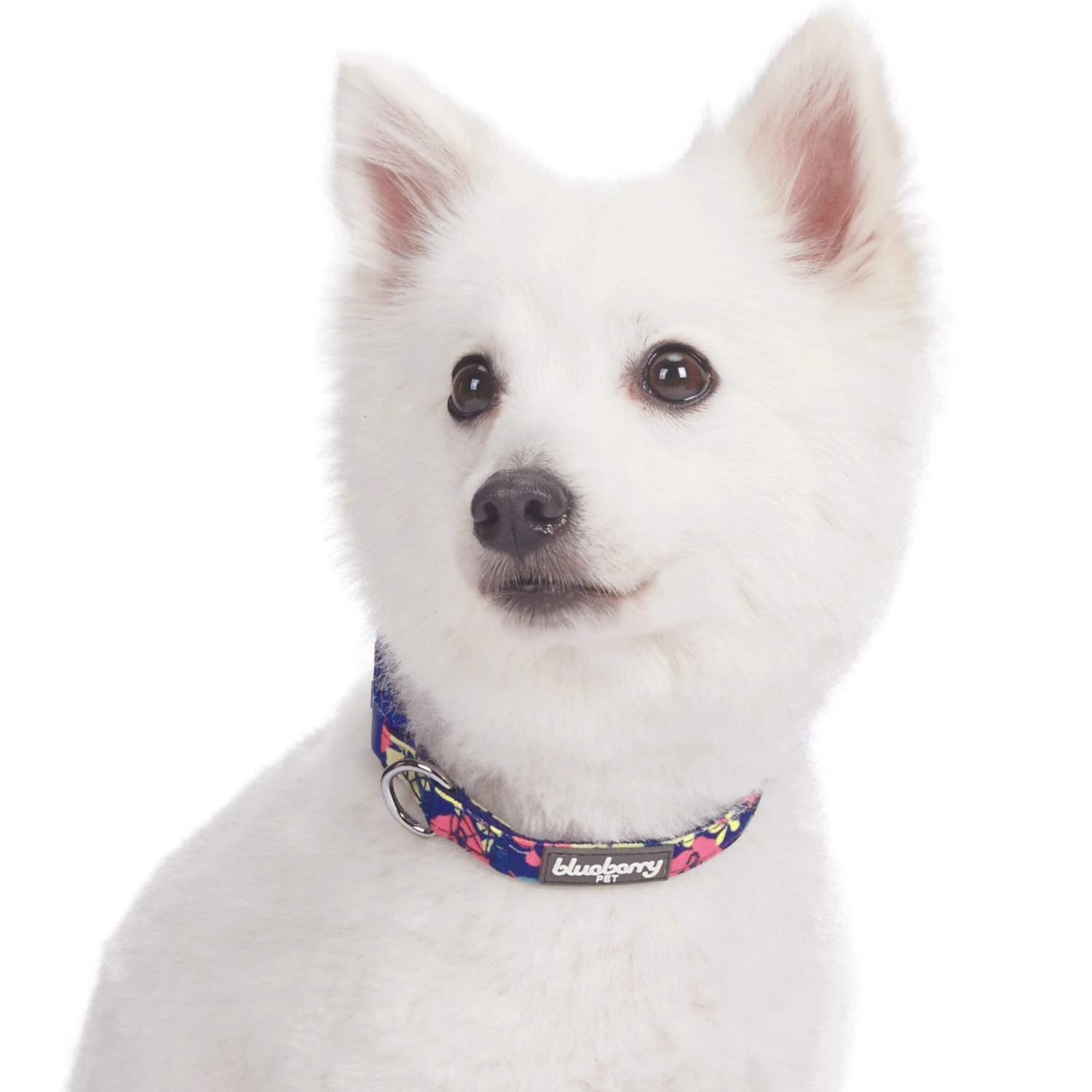 Made Well Floral Dog Collar Stylish And Durable Design 11 Made Well Floral Dog Collar Stylish And Durable Design - Image 11