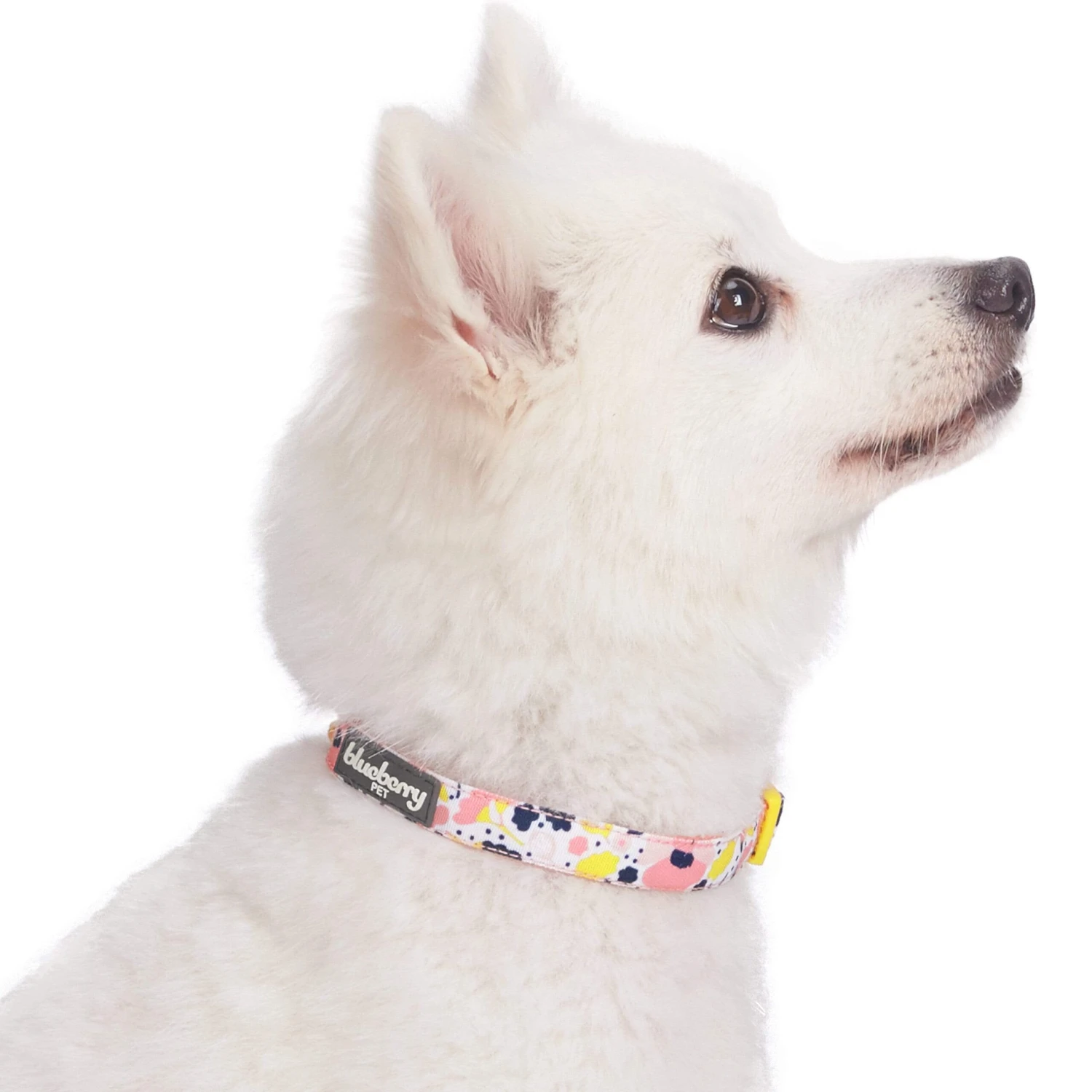 Made Well Floral Dog Collar Stylish And Durable Design 2 Made Well Floral Dog Collar Stylish And Durable Design - Image 2