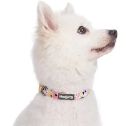 Made Well Floral Dog Collar Stylish And Durable Design 15 Made Well Floral Dog Collar Stylish And Durable Design -Dog & Cat Store 1240225020 3