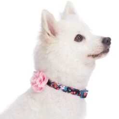 Made Well Floral Dog Collar With Removable Flower Accessory -Dog & Cat Store 1240227024 2