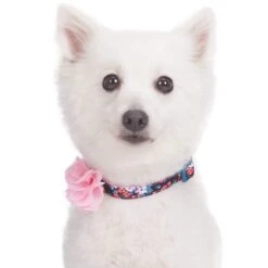 Made Well Floral Dog Collar With Removable Flower Accessory -Dog & Cat Store 1240227024 3
