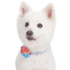 Made Well Floral Dog Collar With Removable Flower Accessory -Dog & Cat Store 1240228021 2
