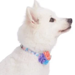 Made Well Floral Dog Collar With Removable Flower Accessory -Dog & Cat Store 1240228021 3