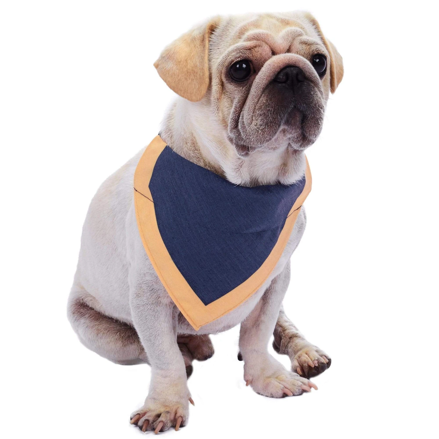 Classic Dog Collar With Bandana For Stylish Pets 7 Classic Dog Collar With Bandana For Stylish Pets - Image 7