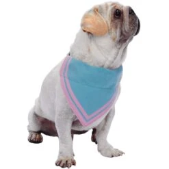 Classic Dog Collar With Bandana For Stylish Pets 38 Classic Dog Collar With Bandana For Stylish Pets -Dog & Cat Store 1240231045 1