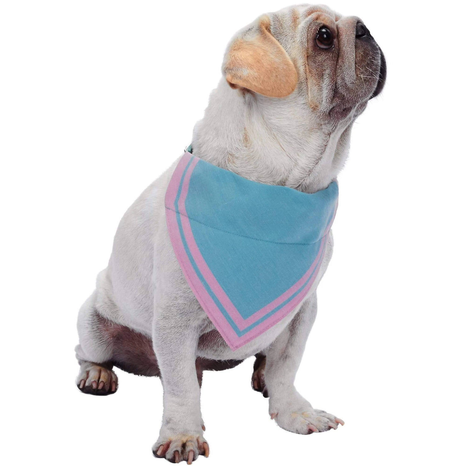 Classic Dog Collar With Bandana For Stylish Pets 19 Classic Dog Collar With Bandana For Stylish Pets - Image 19