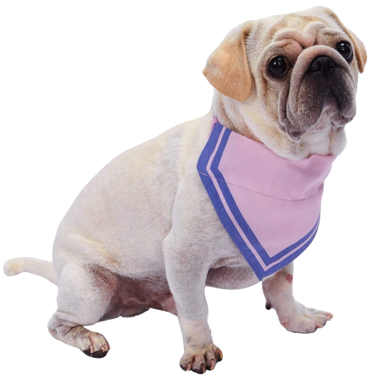 Classic Dog Collar With Bandana For Stylish Pets 1 Classic Dog Collar With Bandana For Stylish Pets