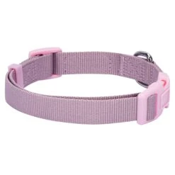 Classic Dog Collar With Bandana For Stylish Pets 24 Classic Dog Collar With Bandana For Stylish Pets -Dog & Cat Store 1240232042 5