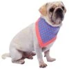 Polka Dot Bandana Dog Collar For Stylish Pet Looks -Dog & Cat Store 1240233049 1