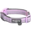 Reflective Hues Of Spring 3M Reflective Dog Collar -Dog & Cat Store 1240234046 1 e69e64dc e437 4a8f 972f 16380fe2d932