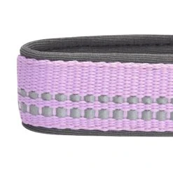 Reflective Hues Of Spring 3M Reflective Dog Collar -Dog & Cat Store 1240234046 6 c6e2e3c1 fbe4 4b7e b6ea 5400a873af0f