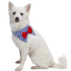 Nautical Dog Collars Anchors Vacation Beach Collar Bandana -Dog & Cat Store 1240237047 2