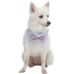 Scottish Bandana Dog Collar With Bowtie Set For Pets 20 Scottish Bandana Dog Collar With Bowtie Set For Pets -Dog & Cat Store 1240238044 1 82f39892 46bd 4ef9 9131 bc189084b271