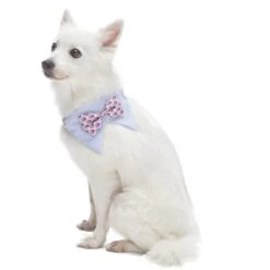 Scottish Bandana Dog Collar With Bowtie Set For Pets 21 Scottish Bandana Dog Collar With Bowtie Set For Pets -Dog & Cat Store 1240238044 2 d389ad37 8dcb 45bd ab3f 14319815d423