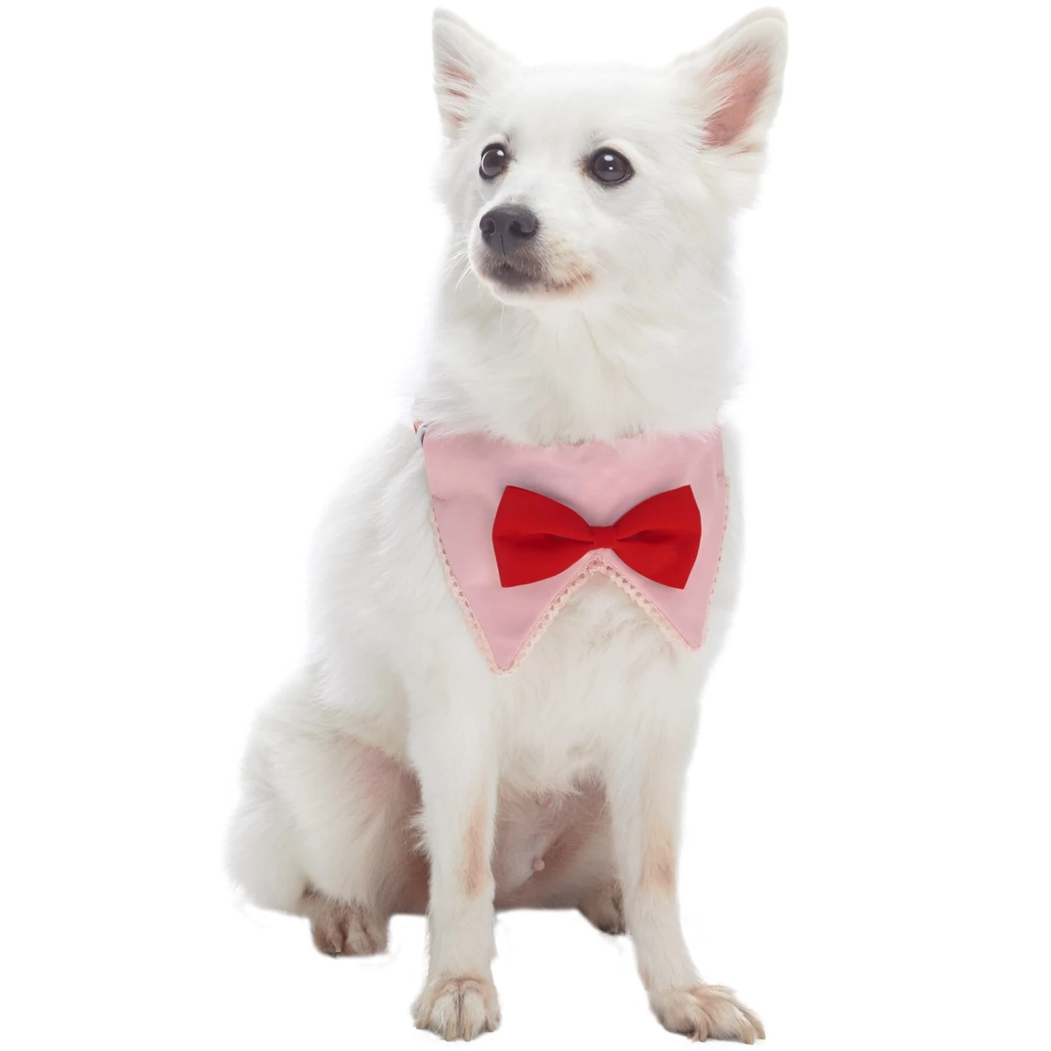 Scottish Bandana Dog Collar With Bowtie Set For Pets 1 Scottish Bandana Dog Collar With Bowtie Set For Pets