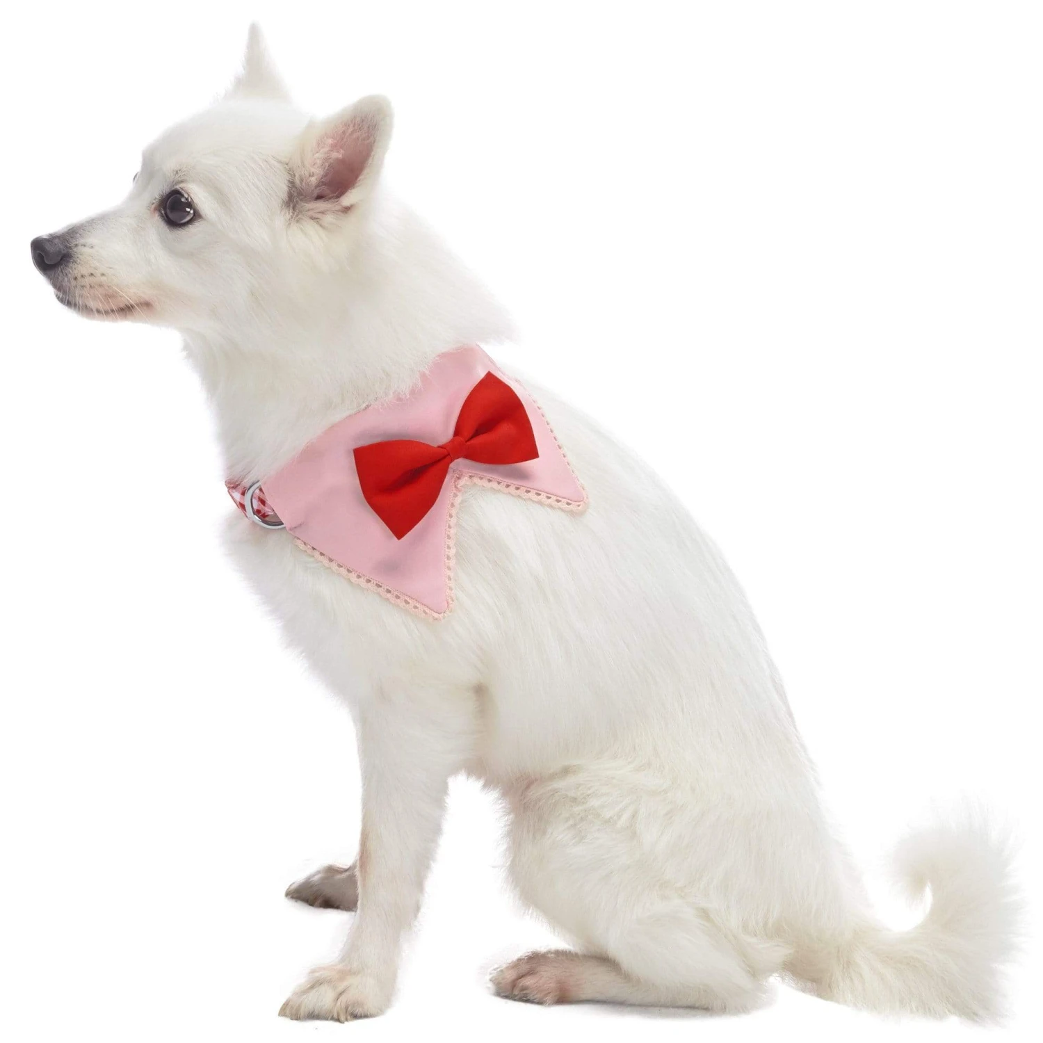 Scottish Bandana Dog Collar With Bowtie Set For Pets 2 Scottish Bandana Dog Collar With Bowtie Set For Pets - Image 2