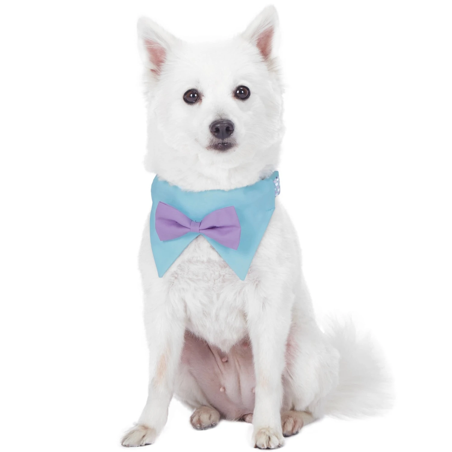 Scottish Bandana Dog Collar With Bowtie Set For Pets 11 Scottish Bandana Dog Collar With Bowtie Set For Pets - Image 11