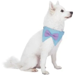 Scottish Bandana Dog Collar With Bowtie Set For Pets 26 Scottish Bandana Dog Collar With Bowtie Set For Pets -Dog & Cat Store 1240240047 2 c676d88e bbc4 4b17 81e8 9899d9d46f2f