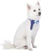 Multiple Hues Scottish Dog Collar With Tie For Pets -Dog & Cat Store 1240241044 1